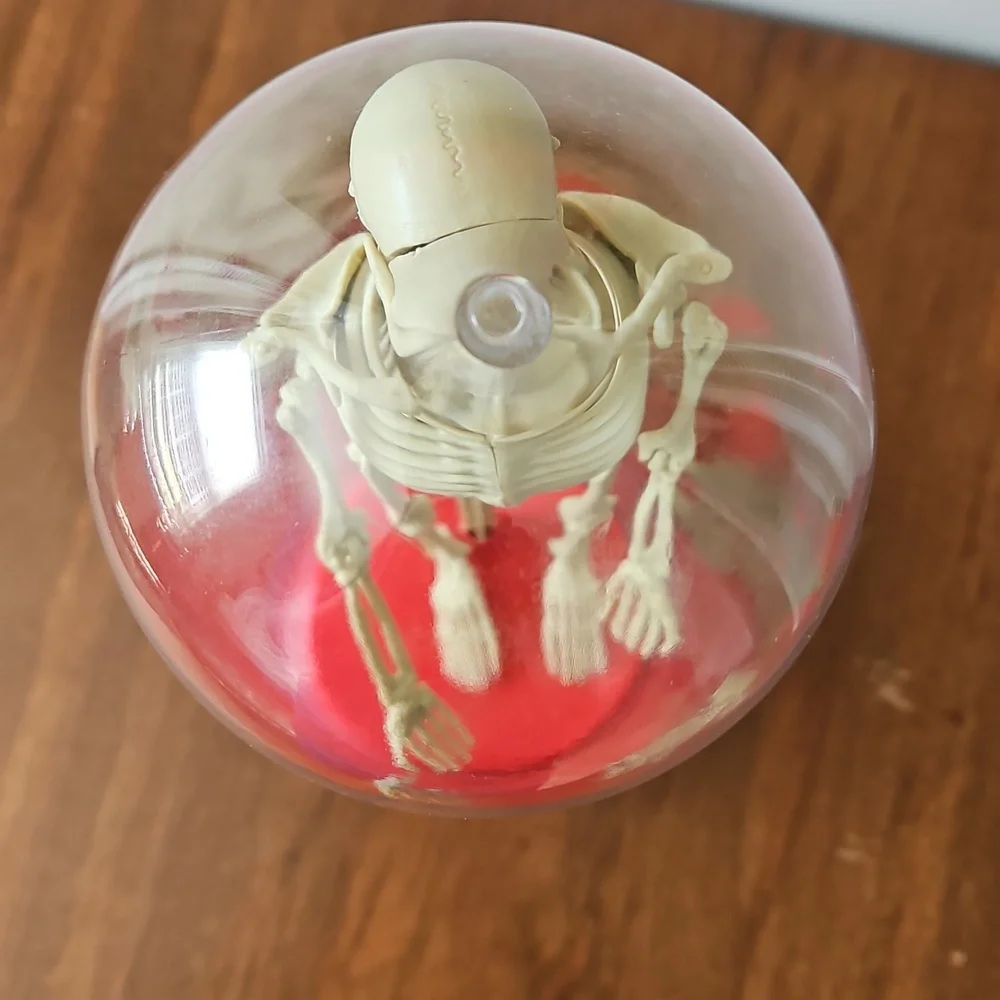 Vintage 1991 Workman Publishing Human Skeleton - Picture 3 of 8